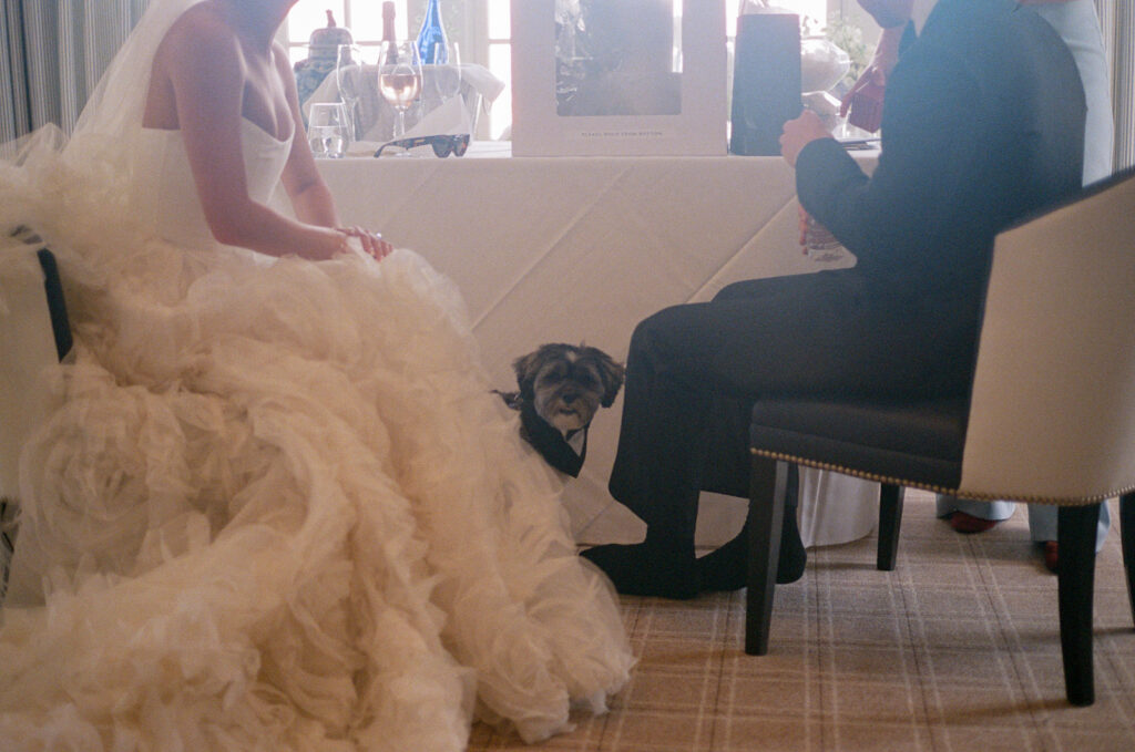 belle haven club wedding photos